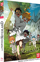 The promised neverland