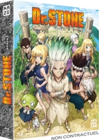 Dr. Stone