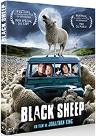 Black sheep