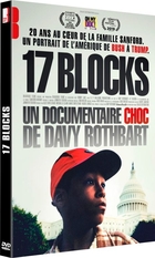 17 Blocks