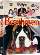 Beethoven