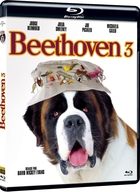 Beethoven 3