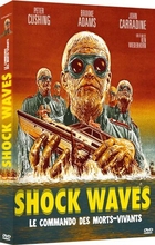 Shock Waves
