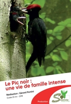 Pic noir : une vie de famille intense (Le)