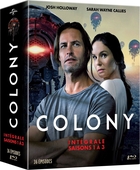 Colony