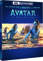 Avatar 2 : la voie de l'eau