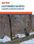 Pyrénées secrètes (Les)