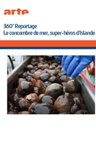 360° Géo - Le concombre de mer, super-héros d'Islande
