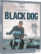 Black Dog