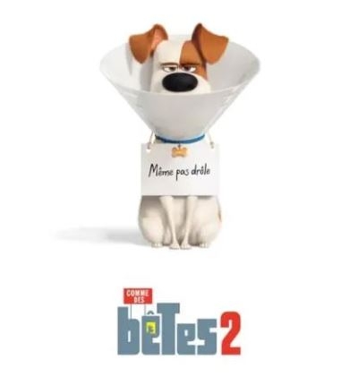 Comme des bêtes 2 = The Secret Life of Pets 2 | Renaud Jonathan Del Val, Chris. Metteur en scène ou réalisateur