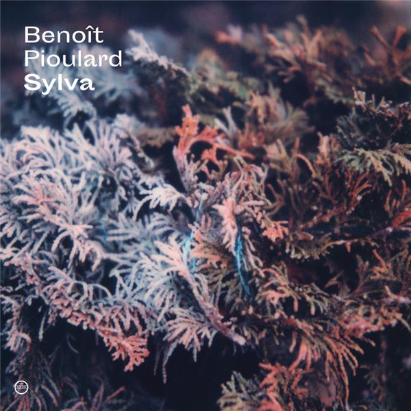 Sylva | Benoît Pioulard (1984-....). Compositeur
