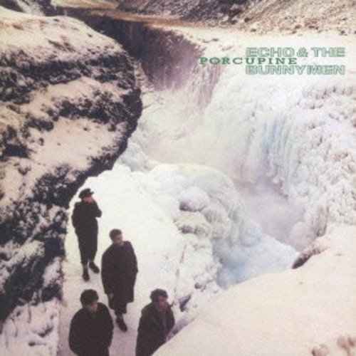 Porcupine | Echo and the Bunnymen. Musicien