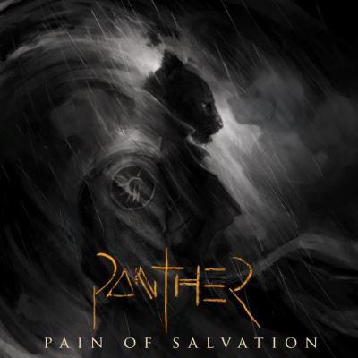 Panther | Pain of Salvation. Musicien