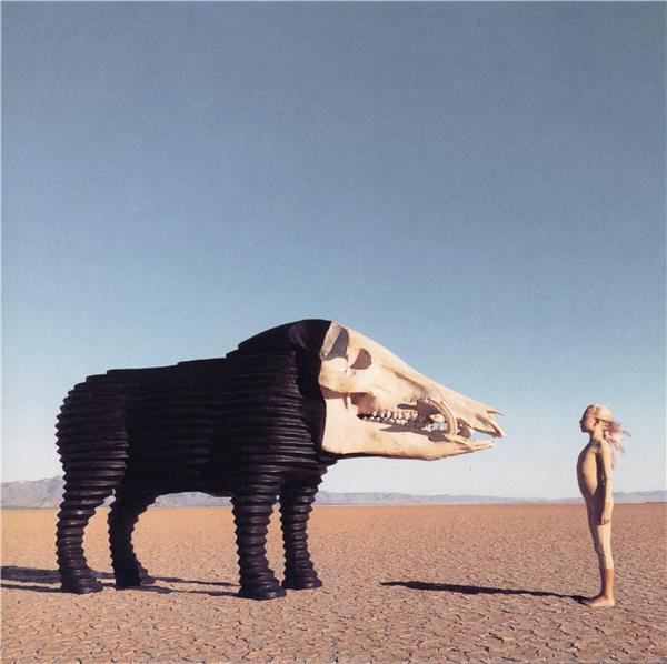 Dream hunting in the valley of the in-between | Man Man. Musicien