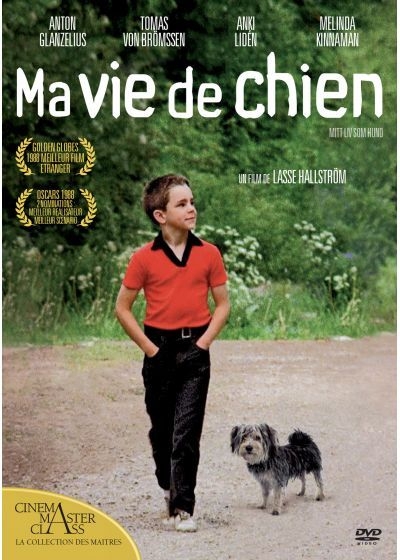 Ma vie de chien / Film de Lasse Hallström | Hallström, Lasse. Metteur en scène ou réalisateur. Scénariste