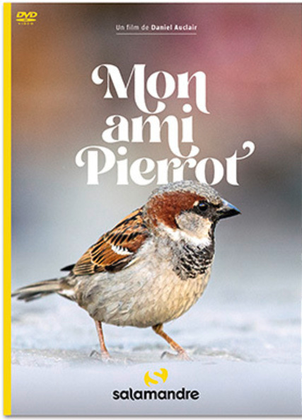 couverture de : Mon ami Pierrot