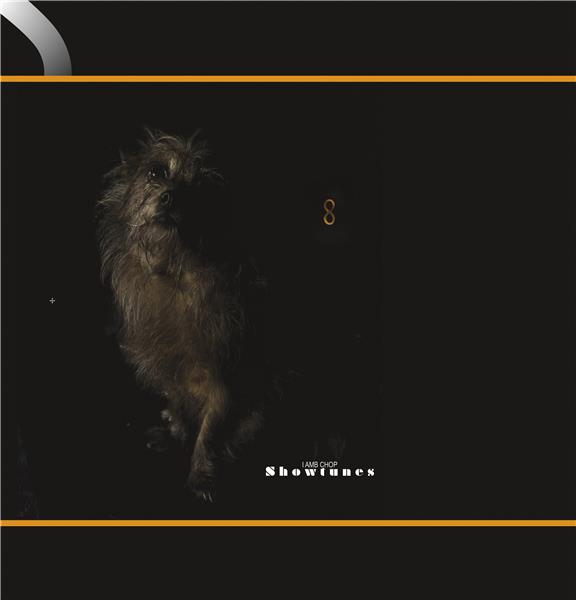 Showtunes | Lambchop. Musicien