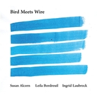 Bird Meets Wire | Susan Alcorn. Interprète
