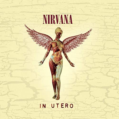 In utero : 20th anniversary edition | Nirvana (groupe de rock). Musicien