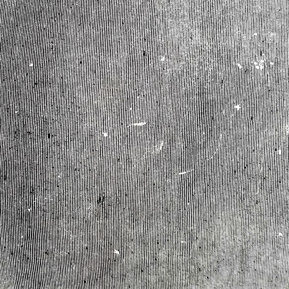 Hey what | Low. Musicien