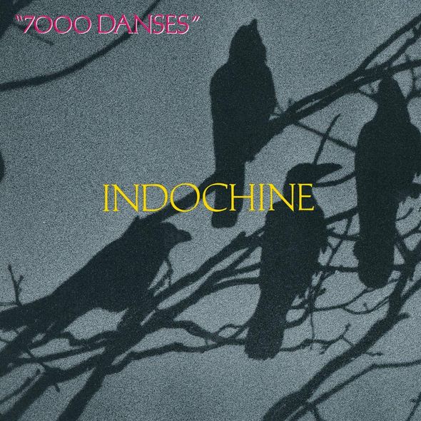7000 danses | Indochine (Groupe de rock). Musicien
