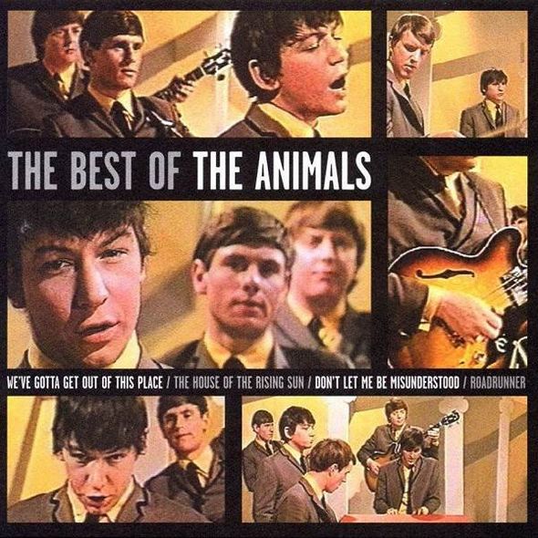 The best of the Animals | The Animals (Groupe de rock anglais). Musicien