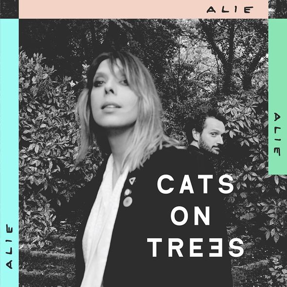 Alie | Cats On Trees. Musicien