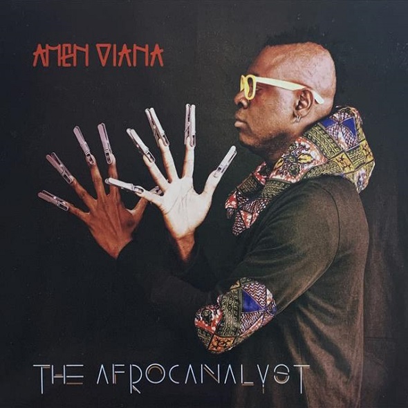 Couverture de The afrocanalyst