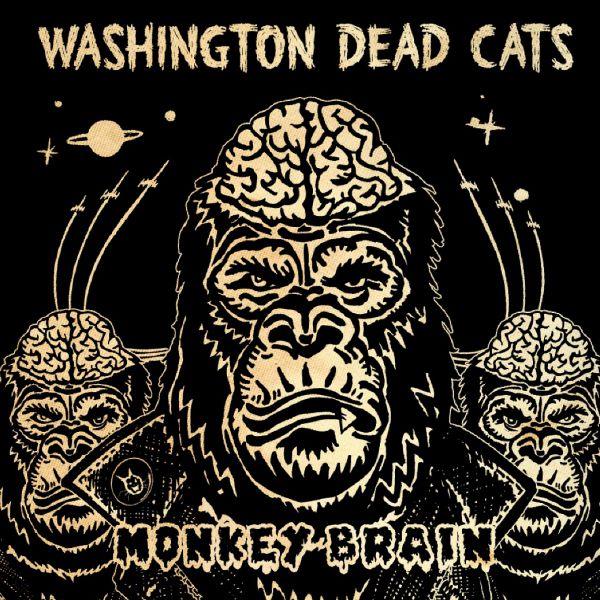 Monkey brain | Washington Dead Cats. Musicien