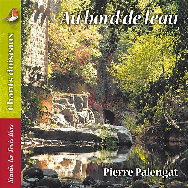 Chants d'oiseaux au bord de l'eau | Pierre Palengat.