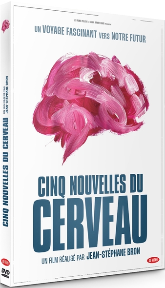 Cinq nouvelles du cerveau