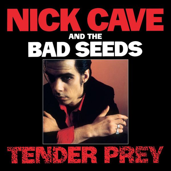 Tender prey | Nick Cave and the Bad Seeds. Musicien