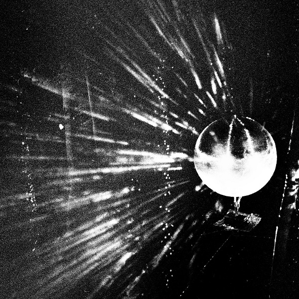 What on earth (que diable) | Oiseaux-Tempête. Musicien