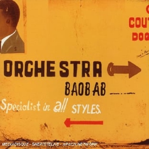 Specialist in all styles | Orchestra Baobab. Musicien