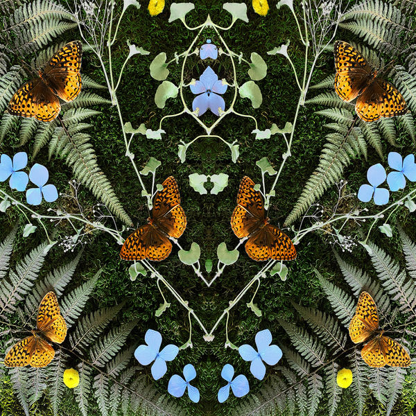 Aubades | Jean-Michel Blais. Interprète