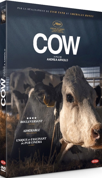 Couverture de Cow