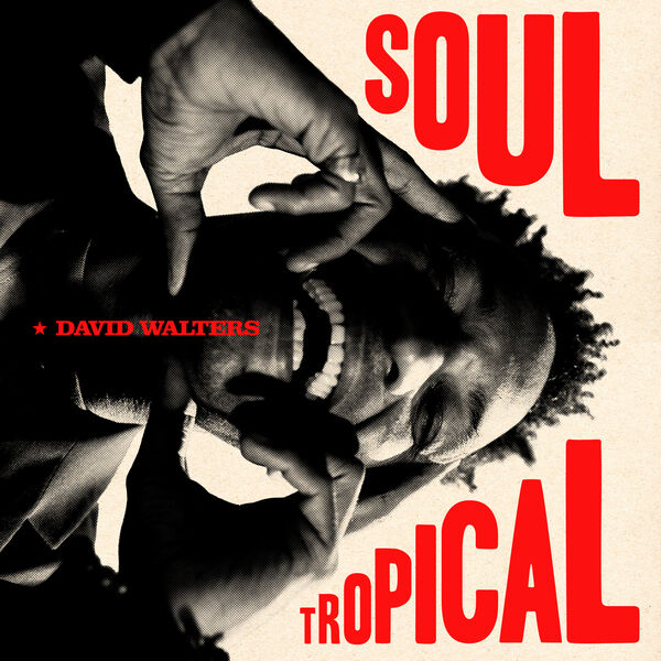 Couverture de Soul tropical