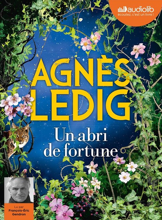 couverture de : Un abri de fortune