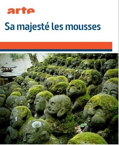 Sa majesté des mousses | Teyssier, Jean-Philippe. Metteur en scène ou réalisateur