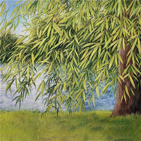 Nothing but green willow | Martin Simpson (1953-....). Interprète