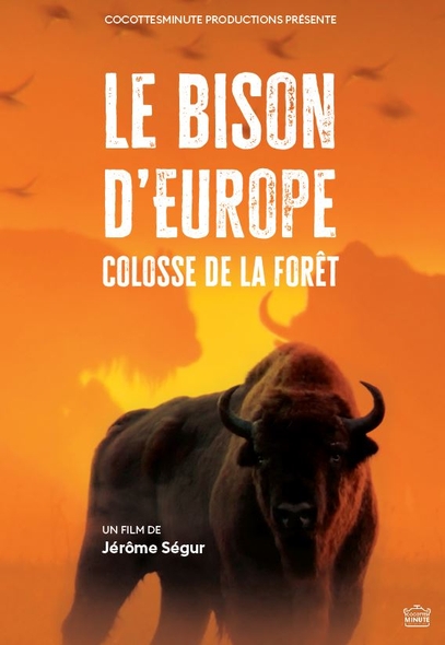Le Bison d'Europe, colosse de la forêt | Ségur, Jérôme. Metteur en scène ou réalisateur
