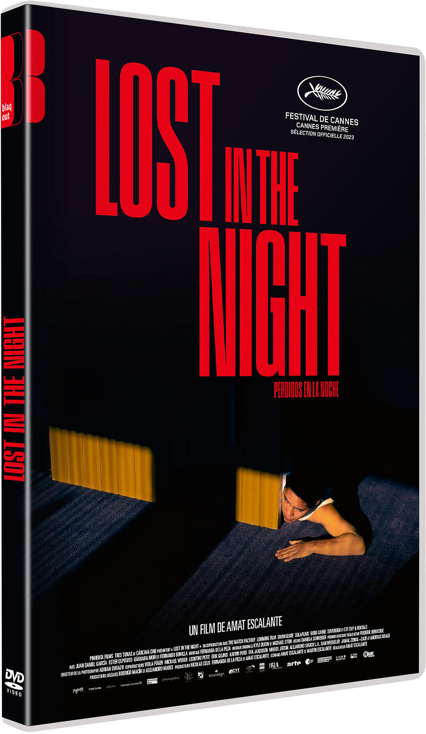 Afficher "Lost in the Night"