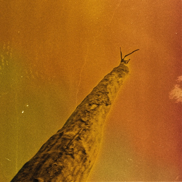 Sihr  | Oberland, Frédéric D. (1978-....). Compositeur