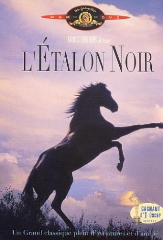 couverture de : L'&eacute;talon noir