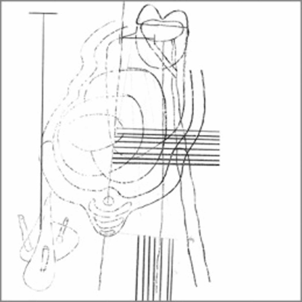 Camoufleur | Gastr Del Sol. Musicien