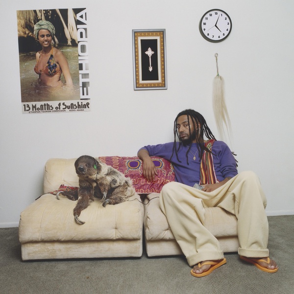 13 months of sunshine | Amine. Interprète