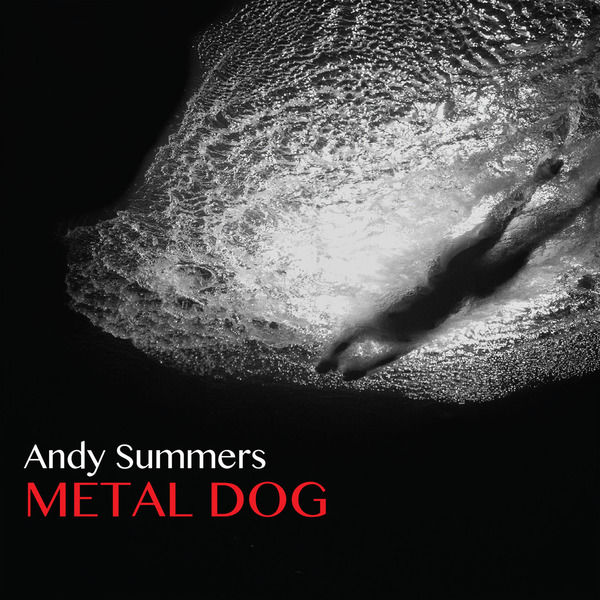 Metal dog | Andy Summers (1942-....)
