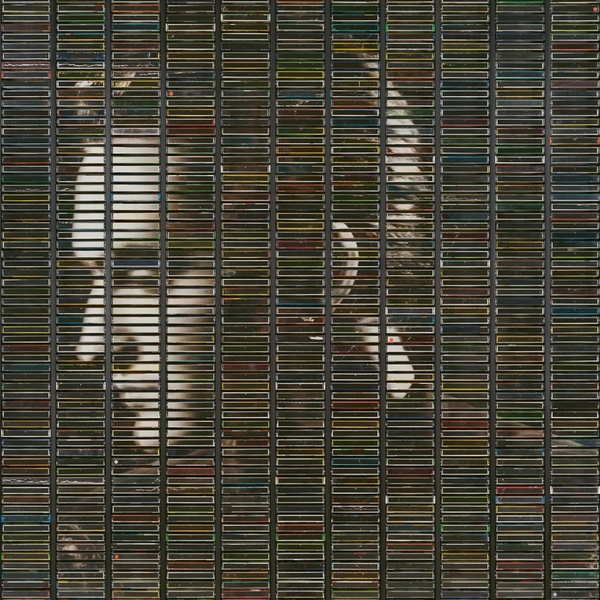 Poussière d'or | Stephan Eicher (1960-....). Interprète