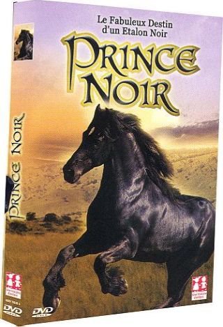 Couverture de Prince noir