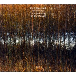 Remembrance | Ketil Bjornstad. Interprète